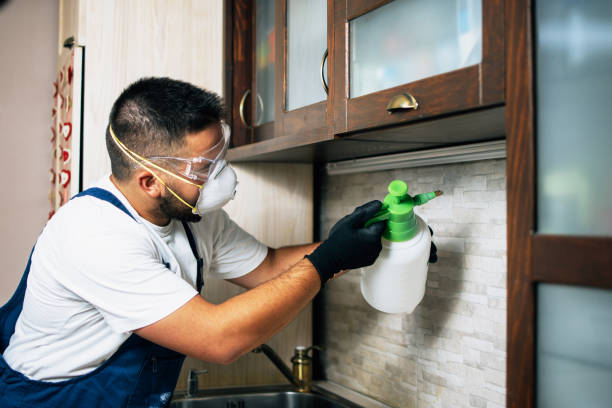 Best Wildlife Control Services  in Evansburg, PA