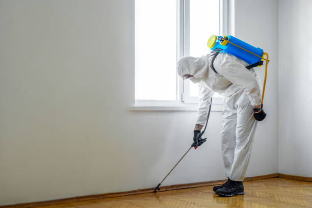 Best Mosquito Control Services  in Evansburg, PA