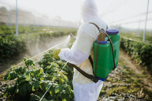 Best Affordable Pest Control Services  in Evansburg, PA